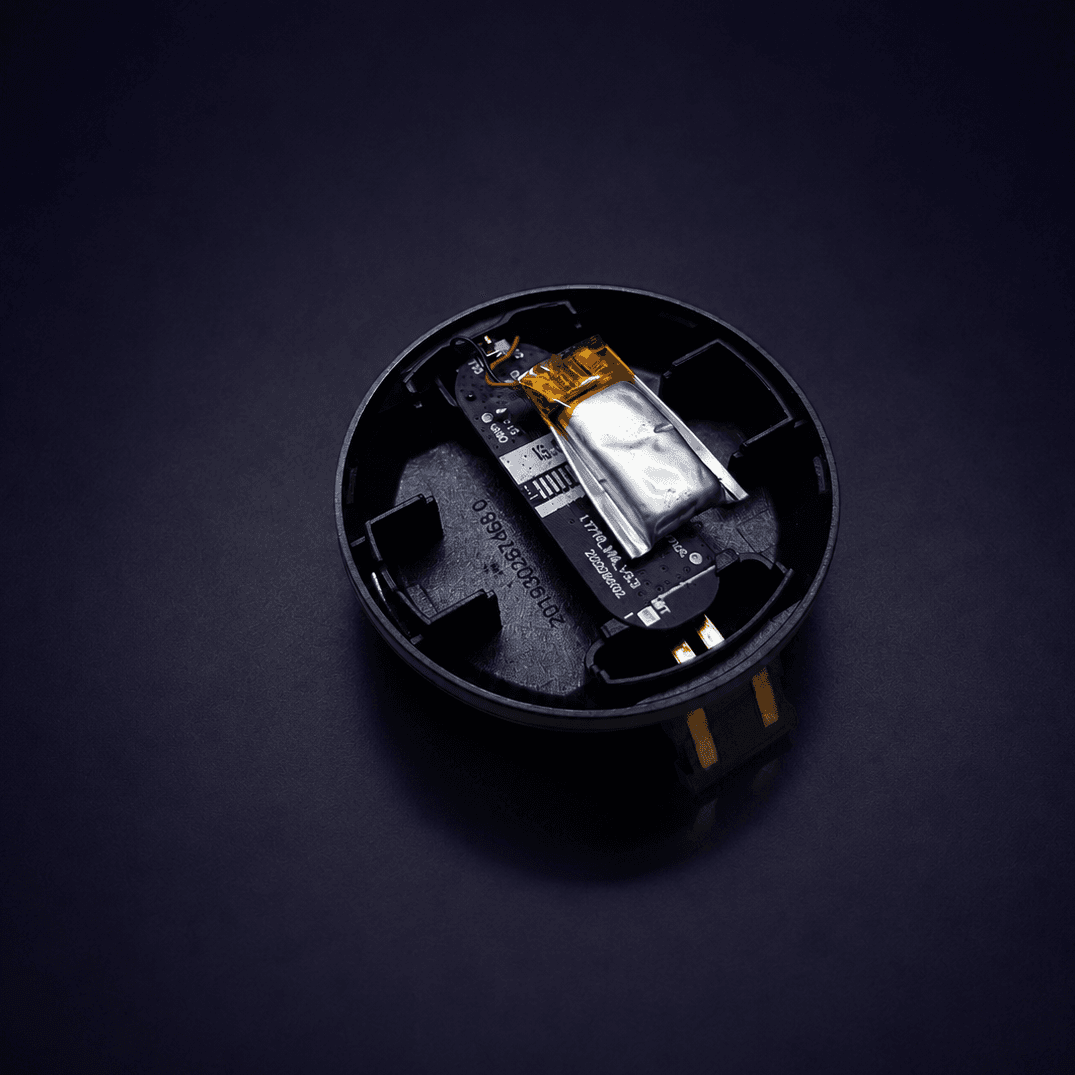 The tiny LiPo in the case.